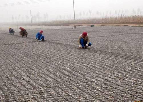 ���̰���